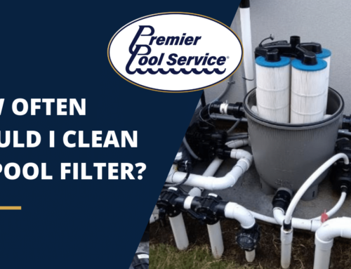 How Often Should I Clean my Pool Filter? – Premier Pool Service