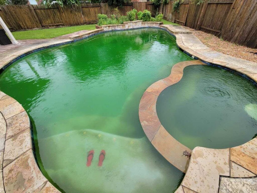 before pool service