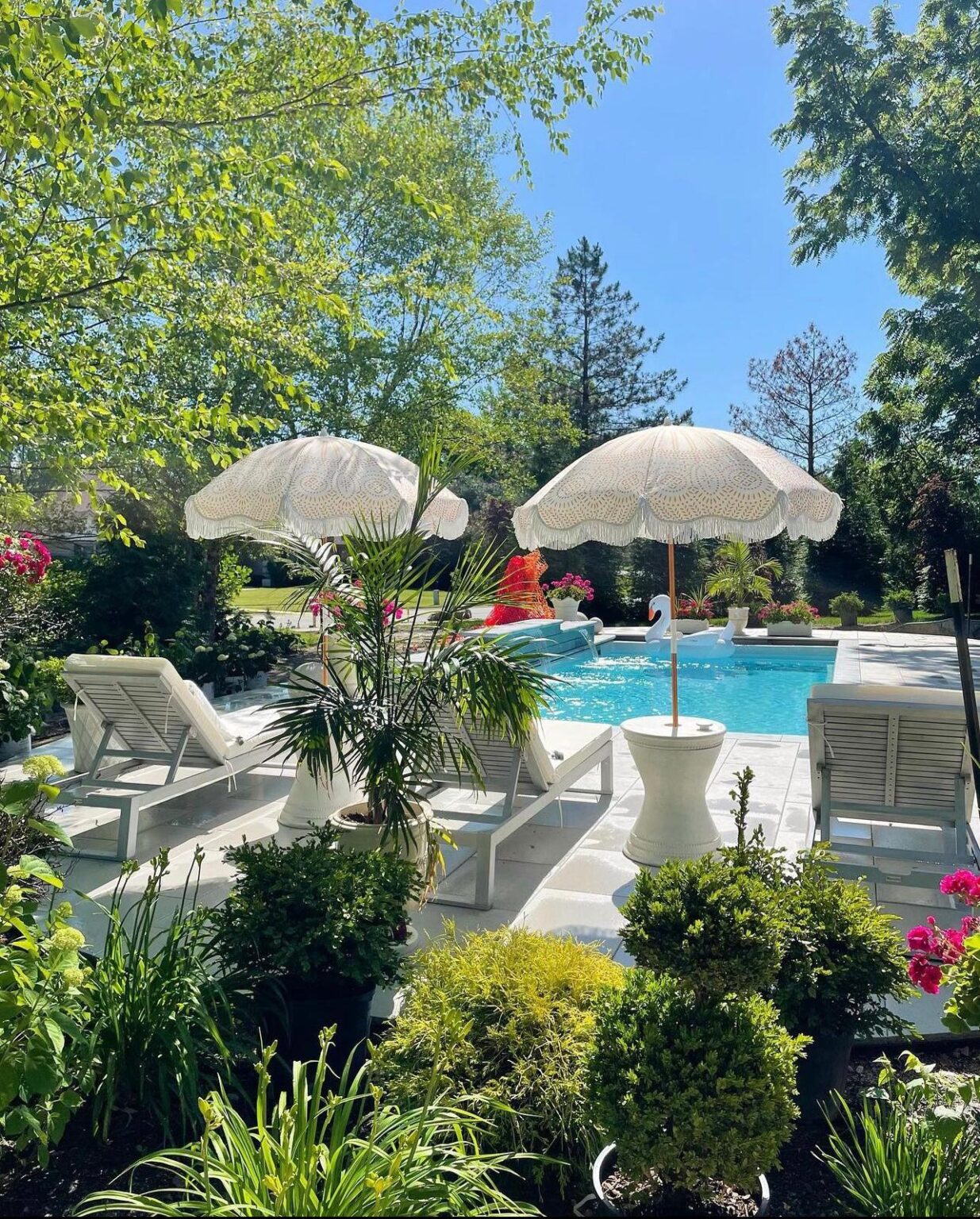 Pool Service - Premier Pool Service