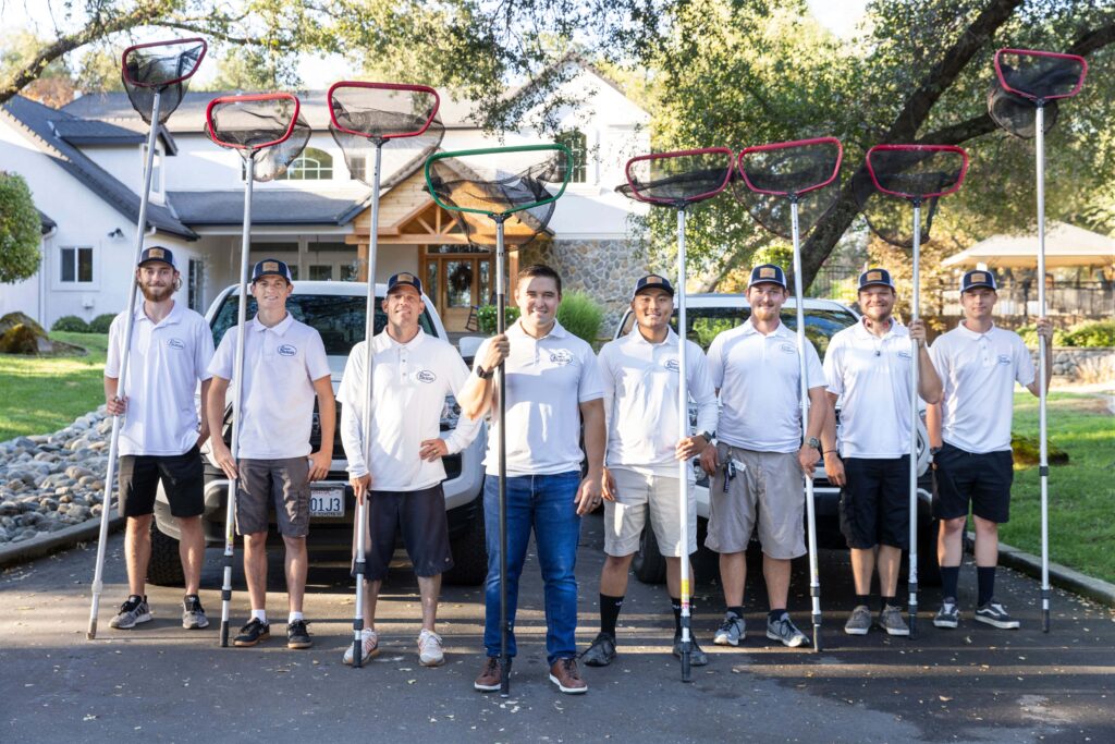 Roseville - Premier Pool Service